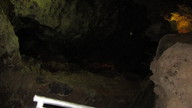 img_2087_thumb.jpg