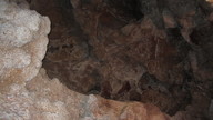 img_2093_thumb.jpg