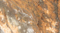 img_2096_thumb.jpg