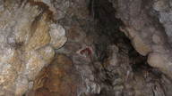 img_2108_thumb.jpg