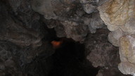 img_2113_thumb.jpg