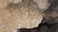 img_2117_thumb.jpg
