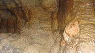 img_2120_thumb.jpg