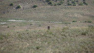 img_2219_thumb.jpg