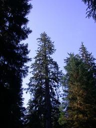 dscn0266_thumb.jpg