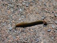 dscn0302_thumb.jpg