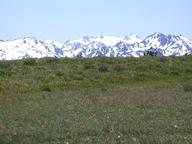 dscn0190_thumb.jpg