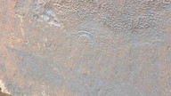 img_2557_thumb.jpg