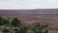 img_2596_thumb.jpg