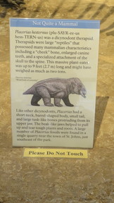 img_2424_thumb.jpg