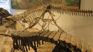 img_2431_thumb.jpg