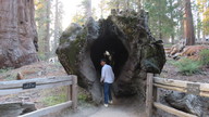 img_3734_thumb.jpg