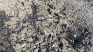 img_2621_thumb.jpg