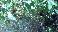 img_1992_thumb.jpg