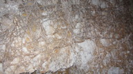img_2008_thumb.jpg