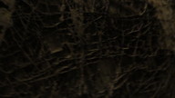 img_2009_thumb.jpg