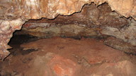 img_2021_thumb.jpg