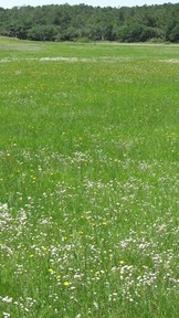 img_4093_thumb.jpg