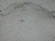 dscn1177_thumb.jpg