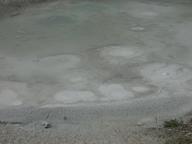 dscn1194_thumb.jpg