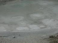 dscn1195_thumb.jpg