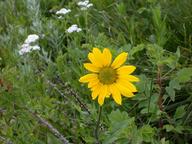 dscn1421_thumb.jpg