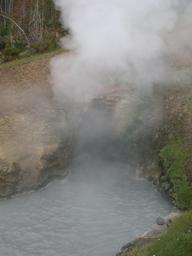 dragons_mouth_spring1_thumb.jpg