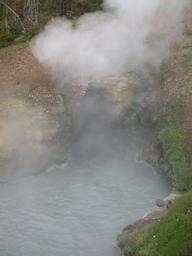 dragons_mouth_spring2_thumb.jpg