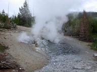 puff_n_stuff_geyser_thumb.jpg