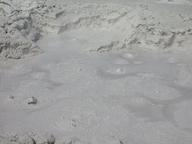 dscn1356_thumb.jpg