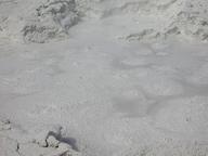 dscn1358_thumb.jpg