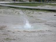 old_tardy_geyser3_thumb.jpg