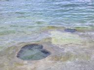 lakeshore_geyser_thumb.jpg