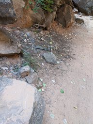pxl_20231011_181543699_thumb.jpg