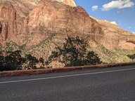 pxl_20231011_221100803_thumb.jpg