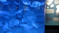 img_3914_thumb.jpg