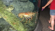 img_3915_thumb.jpg