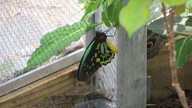 img_3933_thumb.jpg