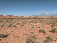 pxl_20231009_211811603_thumb.jpg