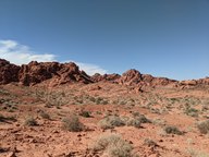 pxl_20231009_211834913_thumb.jpg