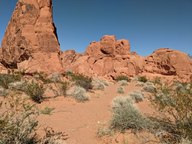 pxl_20231009_214041220_thumb.jpg