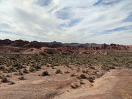 pxl_20231009_221843376_thumb.jpg