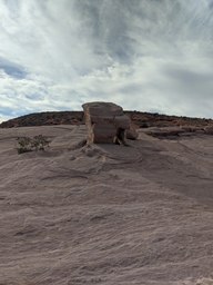 pxl_20231009_222349505_thumb.jpg