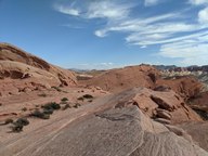 pxl_20231009_222419612_thumb.jpg