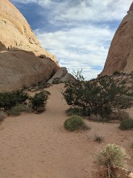 pxl_20231009_223559399_thumb.jpg