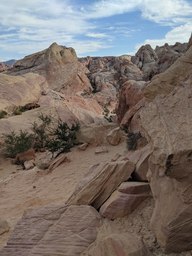 pxl_20231009_224237308_thumb.jpg