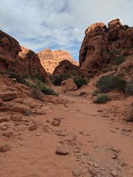 pxl_20231009_232136988_thumb.jpg