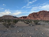 pxl_20231010_000129455_thumb.jpg