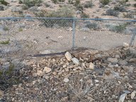 pxl_20231010_002459104_thumb.jpg