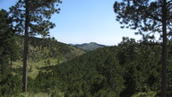 img_1986_thumb.jpg
